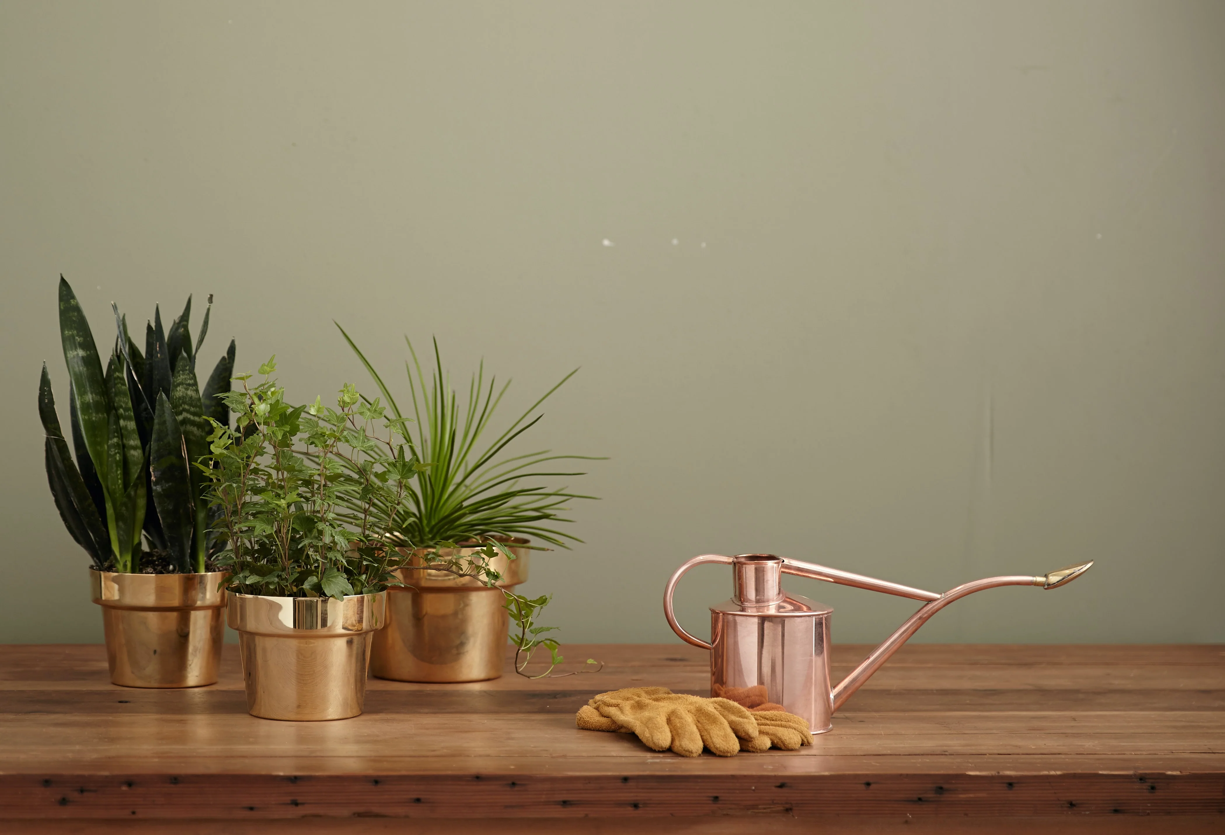 How to Use Crystals for Your Garden